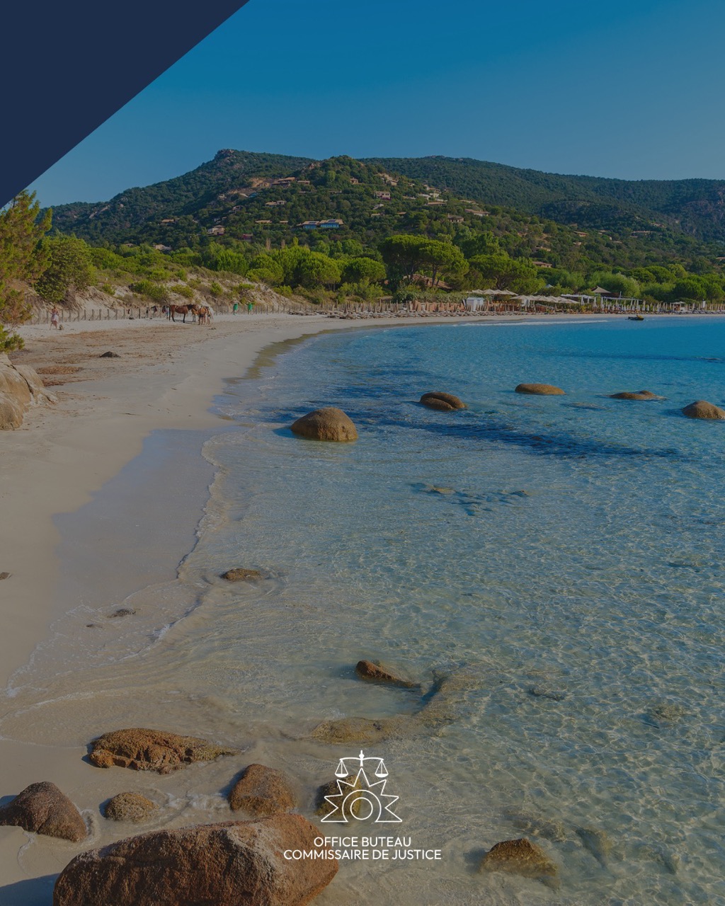 constat ajaccio